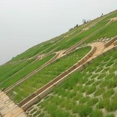 SAP用于農(nóng)林保水劑